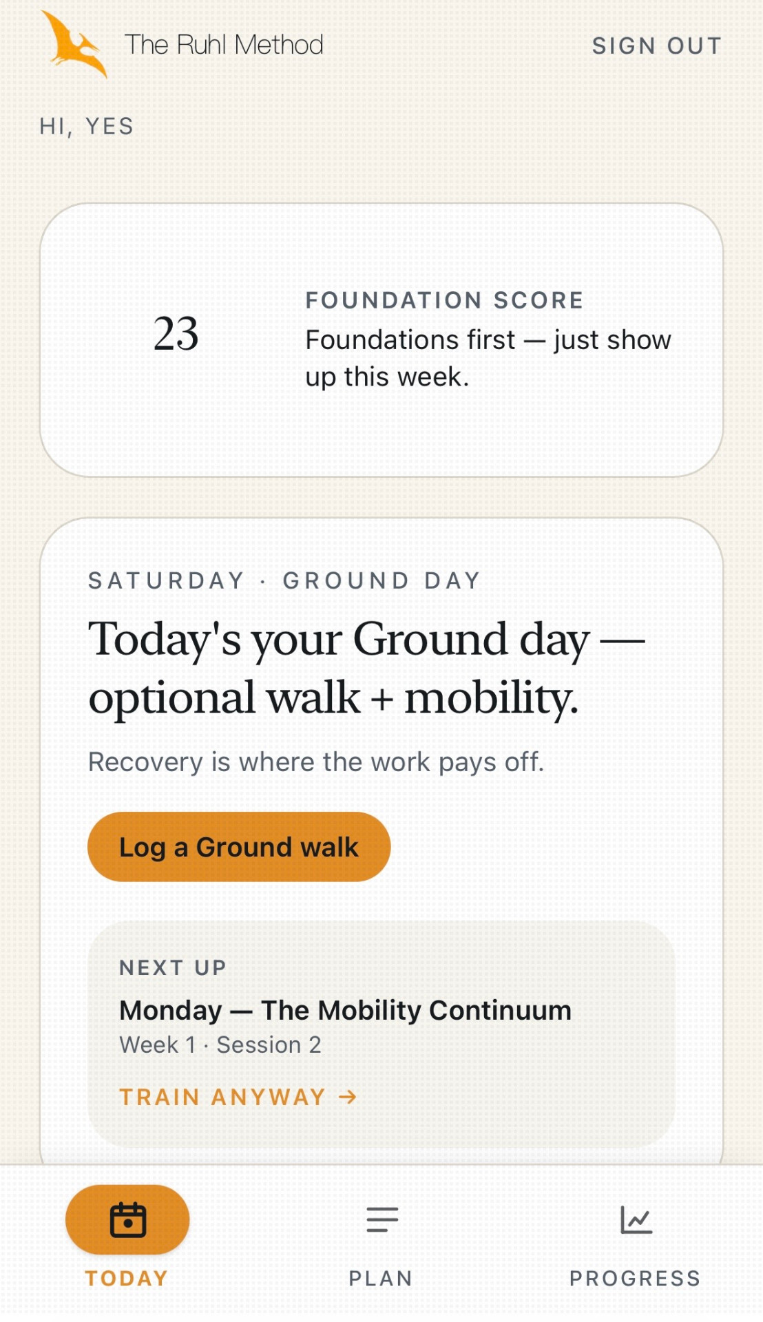 Ruhl Method daily plan on mobile